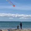 Windspeed Kites - Jellyfish