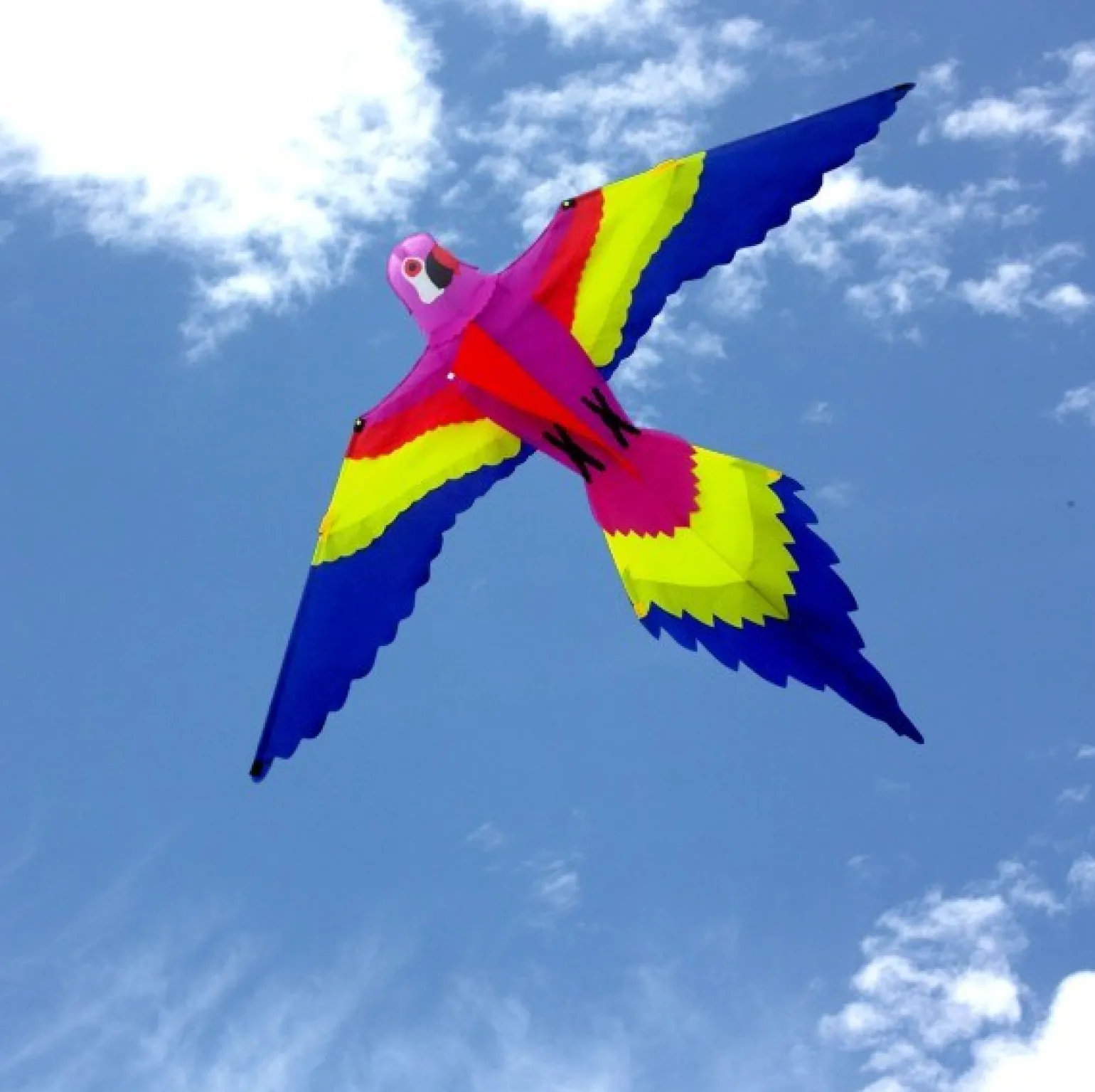 Windspeed Kites - Lorikeet