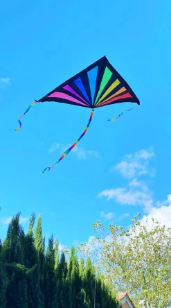 Windspeed Kites - Sunrise