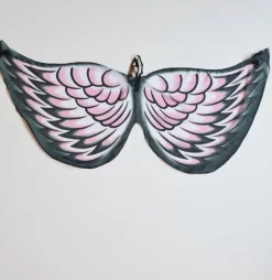 Wings - Bird, Galah