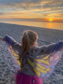 Wings - Multi Chiffon Wings - Mauve